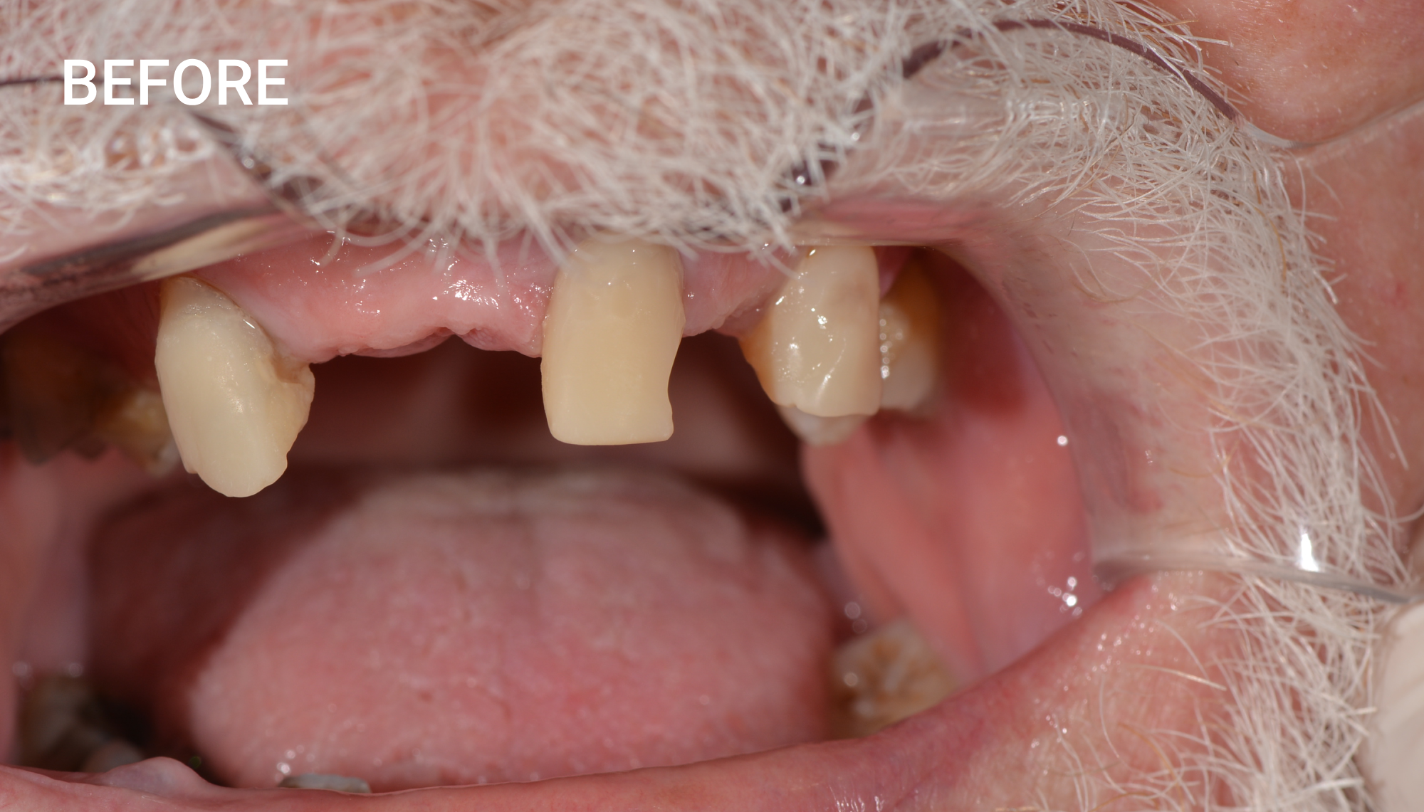 WORK COMPLETED BY DR. MICHAEL HARRIS (Dentist)